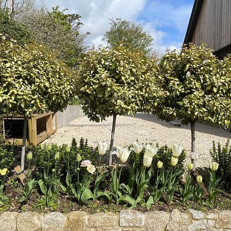 일싱턴 Cedar House 게스트하우스 외부 사진
